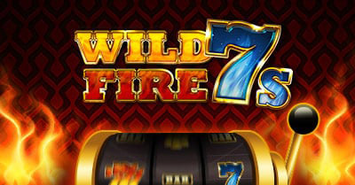 Casushi wild fire 7